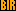ORANGE BIR Badge
