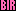 PINK BIR Badge