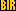 YELLOW BIR Badge